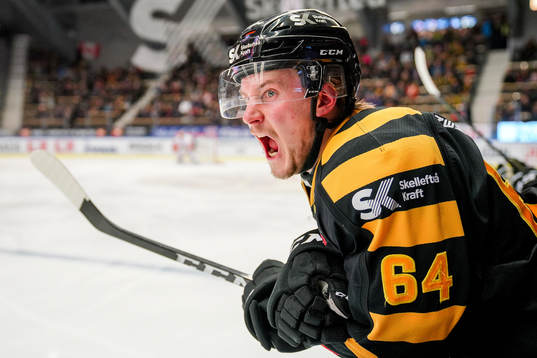 Skellefteås Jonathan Pudas