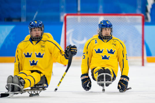 Robin Meng and Christian Hedberg of Sweden look dejected