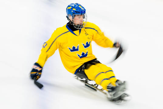 Robin Meng of Sweden