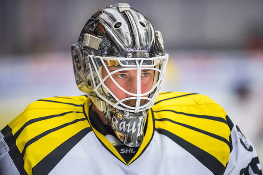 Brynäs målvakt David Rautio
