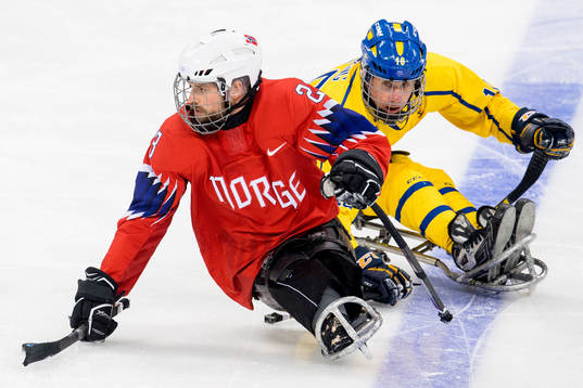 Jan Roger Klakegg of Norway and Robin Meng of Sweden