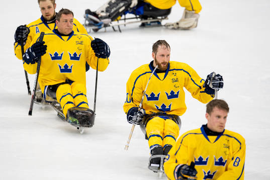 Niklas Rakos of Sweden looks dejected