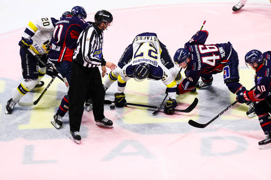 s Lawrence Pilut, Linköpings Mark Zengerle, HV71:s David