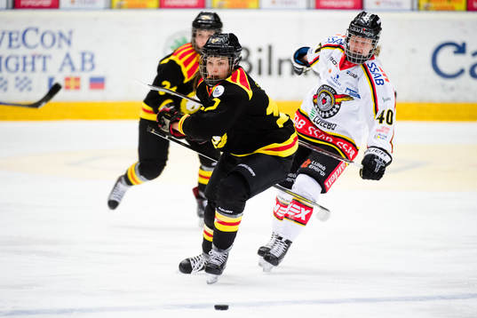 Brynäs Franziska Stocker