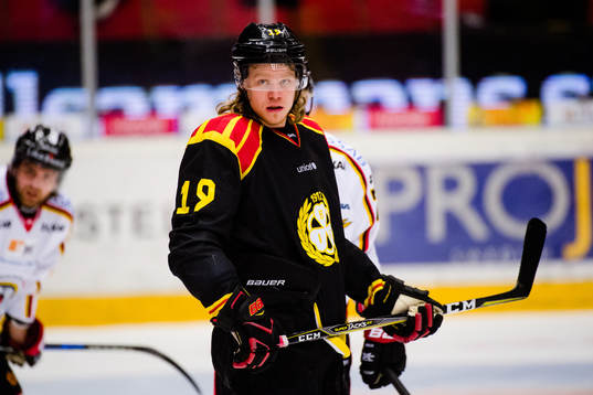 Brynäs Ludvig Nilsson