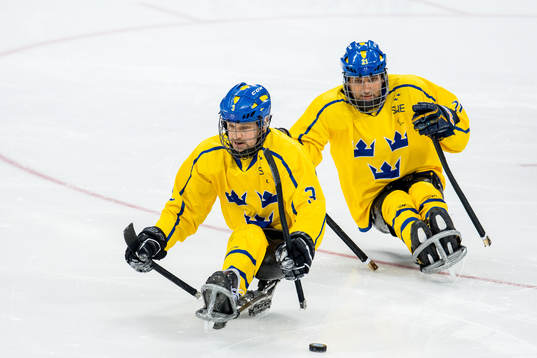 Niklas Ingvarsson and Markus Holm of Sweden