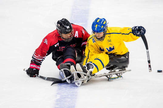 Masaharu Kumagi of Japan and Peter Nilsson of Sweden