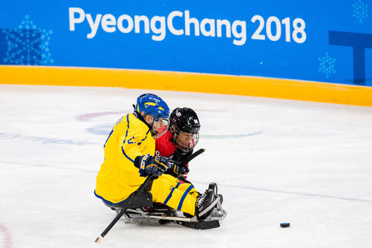 Markus Holm of Sweden and Masaharu Kumagi of Japan