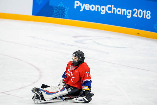 Goaltender Kjell Christian Hamar of Norway