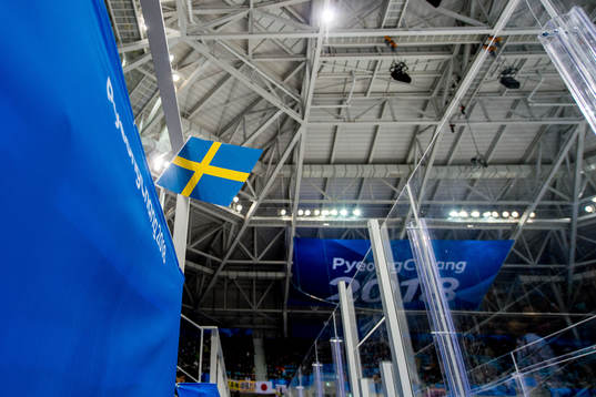 A Swedish flag