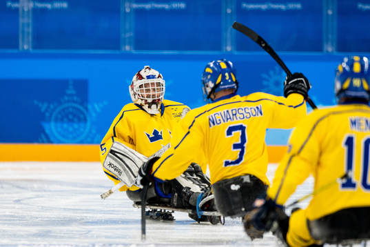 Niklas Ingvarsson of Sweden celebrates with goaltender Ulf