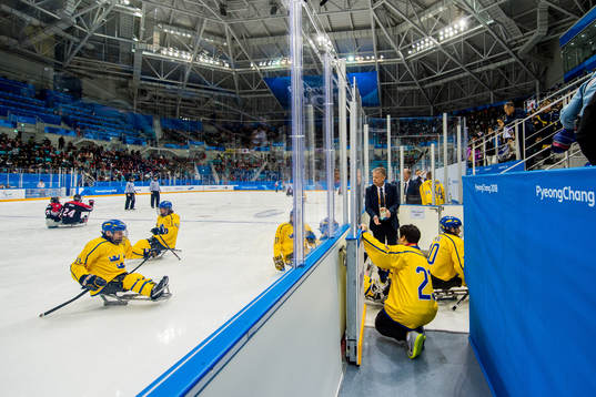 Players of Sweden