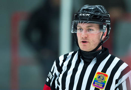 Domare Daniel Eriksson
