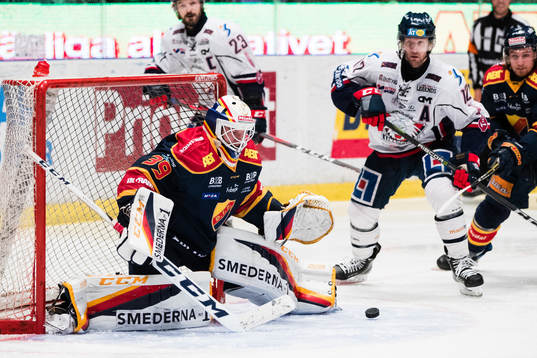 Djurgårdens målvakt Adam Reideborn