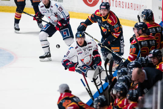 Linköpings Derek Roy och Djurgårdens Henrik Eriksson