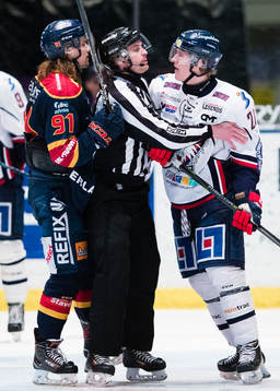 Linköpings Djurgårdens Axel Jonsson Fjällby och Emil