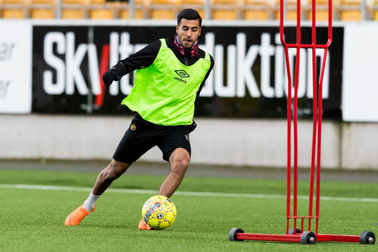 Rami Kaib