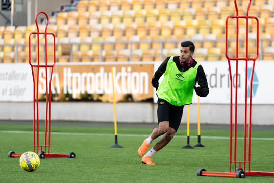 Rami Kaib