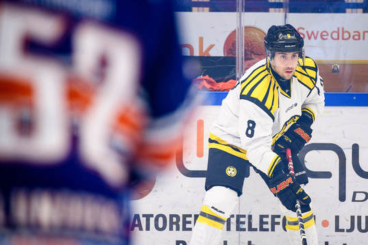Brynäs Aaron Palushaj