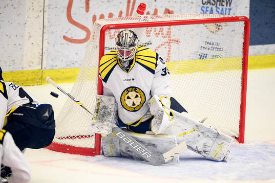 Brynäs målvakt David Rautio