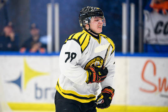 Brynäs Daniel Mannberg grinar illa