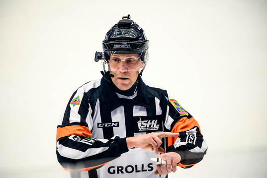 Domare Morgan Johansson