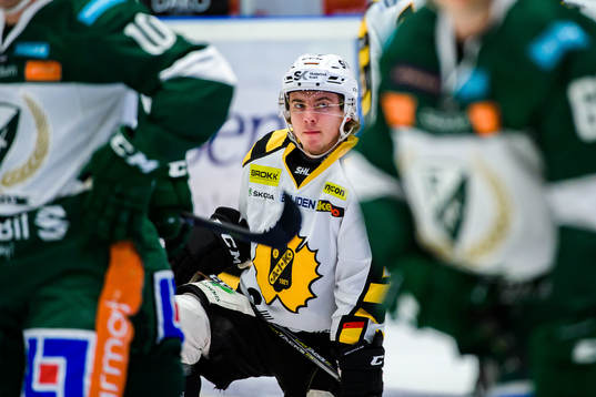 Skellefteås Andreas Wingerli