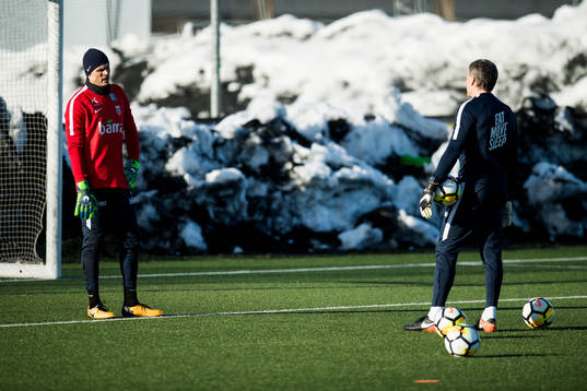 Goalkeeper Rune Almenning Jarstein of Norway