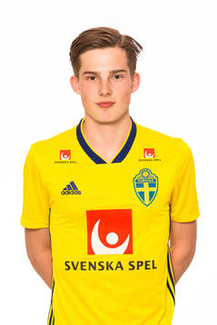 Bläddra bland fler bilder av Fotboll, P18, Sverige, Porträtt