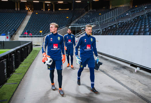 Sveriges målvakt Kristoffer Nordfeldt, målvakt Karl-Johan
