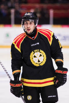 Brynäs Aaron Palushaj
