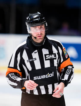 Domare Mikael Sjöqvist