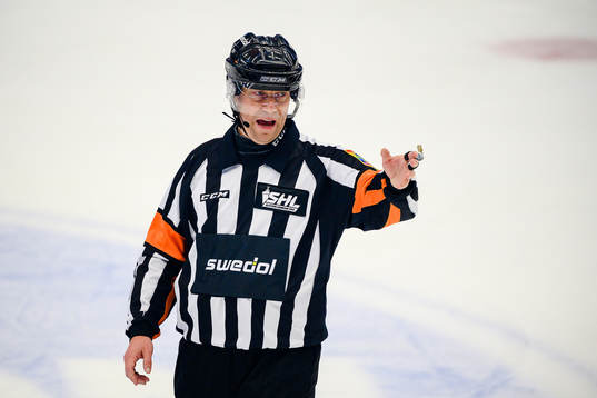 Domare Sören Persson