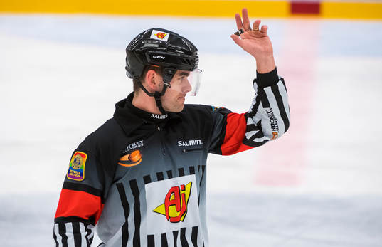 Domare Richard Magnusson