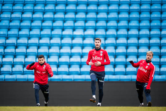 Tarik Elyounoussi, Håvard Nordtveit and Fredrik