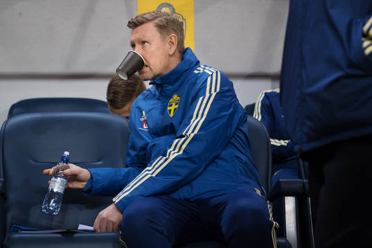 Sveriges assisterande förbundskapten Peter Wettergren med
