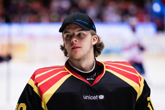 Brynäs målvakt Samuel Ersson