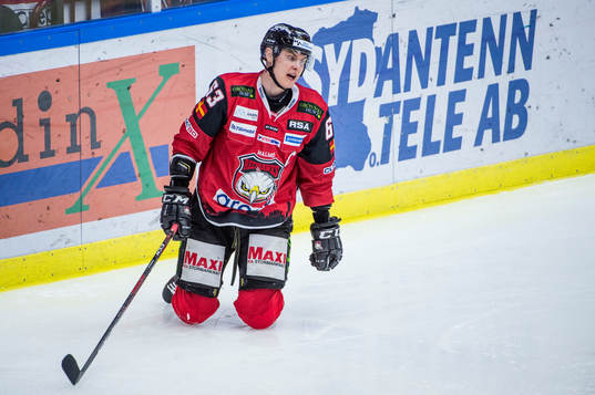 Malmö Redhawks Fredrik Händemark deppar på isen