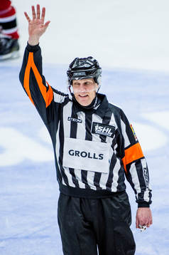Domaren Morgan Johansson