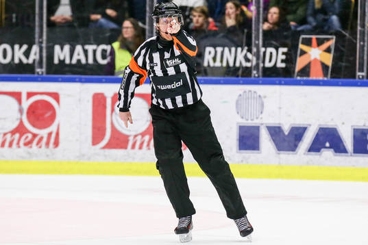 Domare Mikael Holm