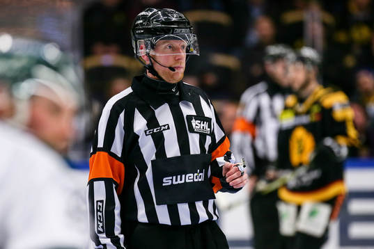 Domaren Mikael Holm