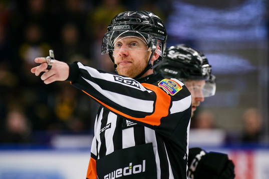 Domaren Mikael Holm