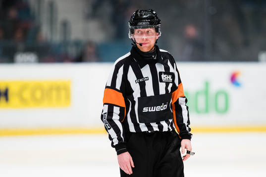 Domare Mikael Holm
