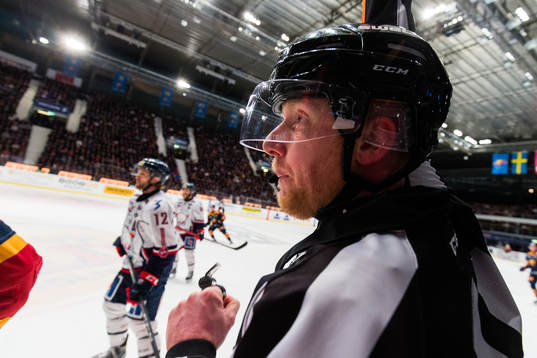 Domare Mikael Holm