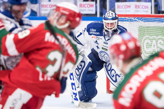 Leksands målvakt Tex Williamsson  i ishockeymatchen i
