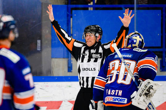 Domare Morgan Johansson