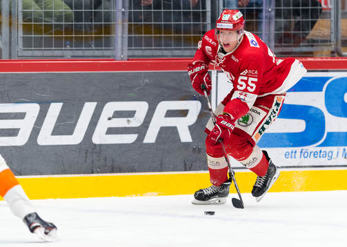 Timrås Vilmos Gallo