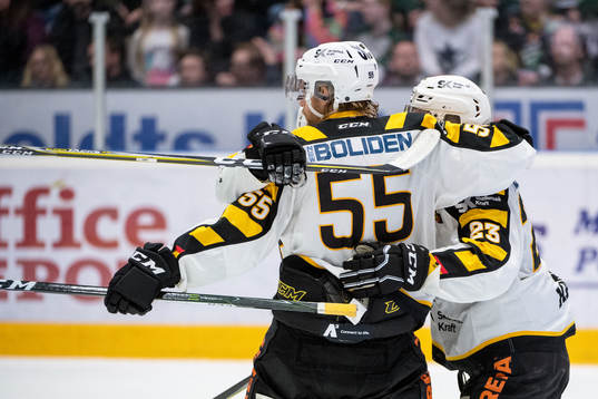 Skellefteås Michael Kostka jublar med lagkamrater