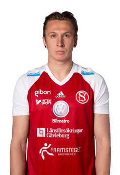 Sandvikens Namir Alispahic