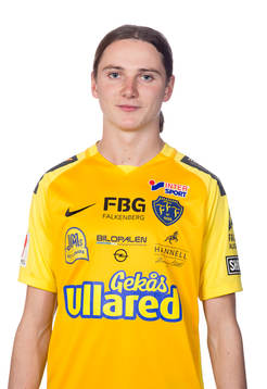 Falkenbergs Ludvig Johansson